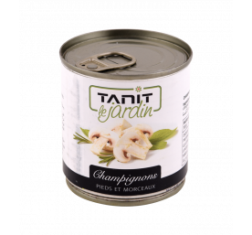 CHAMPIGNON TANITE 1/6 *12