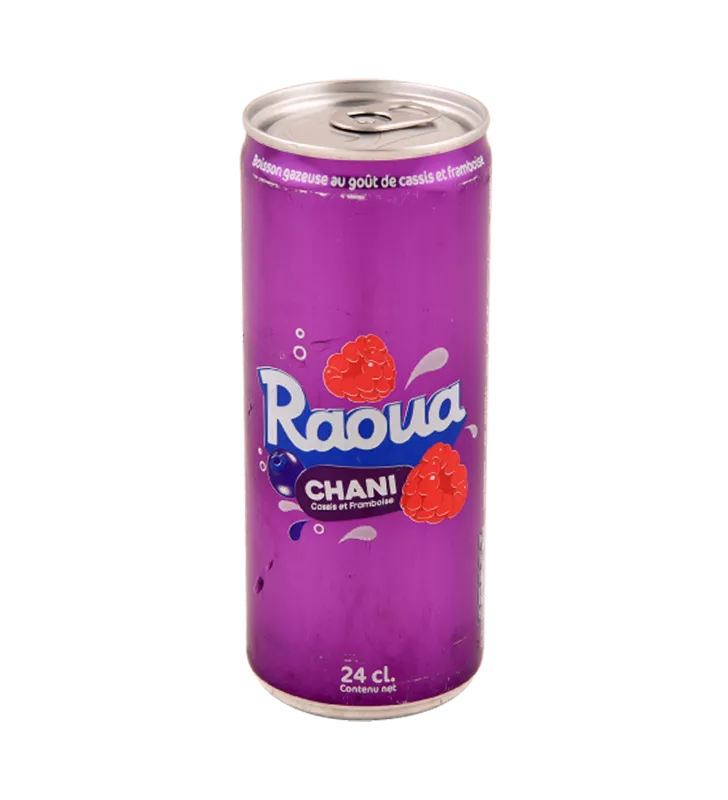 BOISSON GAZEUSE RAOUA BOITE 25CL *24P