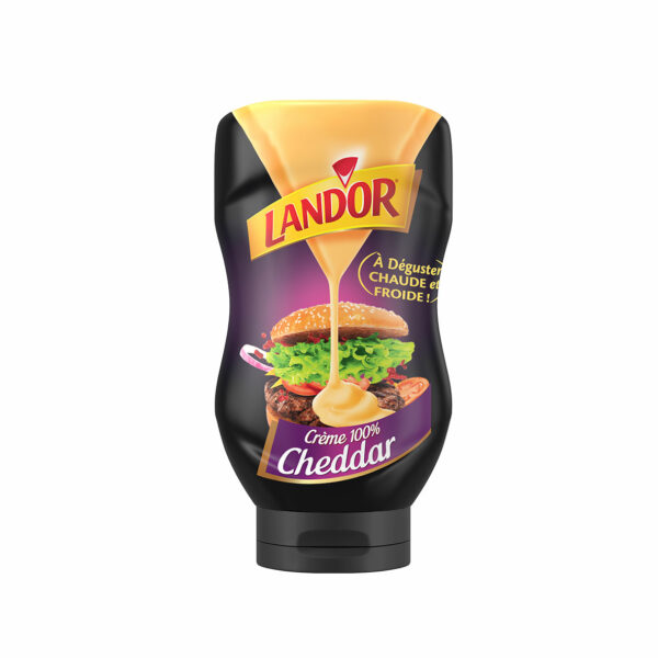 CREME LANDOR CHEDDAR 450G SQZ *12
