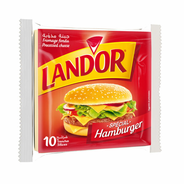 TRANCHETTE SLICE HAMBURGER 10T LANDOR *8PR