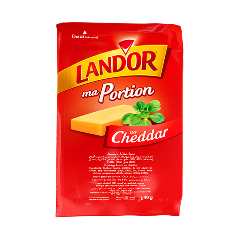 PORTION CHEDDAR LANDOR 40GR 8P*40