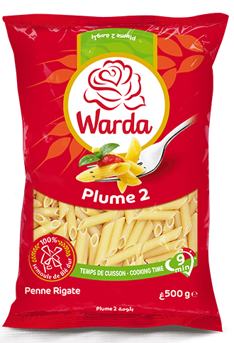 PATE PLUME N°2 500G WARDA